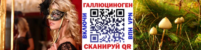 KRAKEN зеркало  даркнет клад  Псилоцибиновые грибы Psilocybe  Саранск 